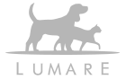 logo lumare parceiros comport ensino